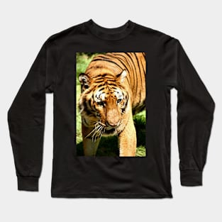 Female Bengal Tiger Stalking Long Sleeve T-Shirt